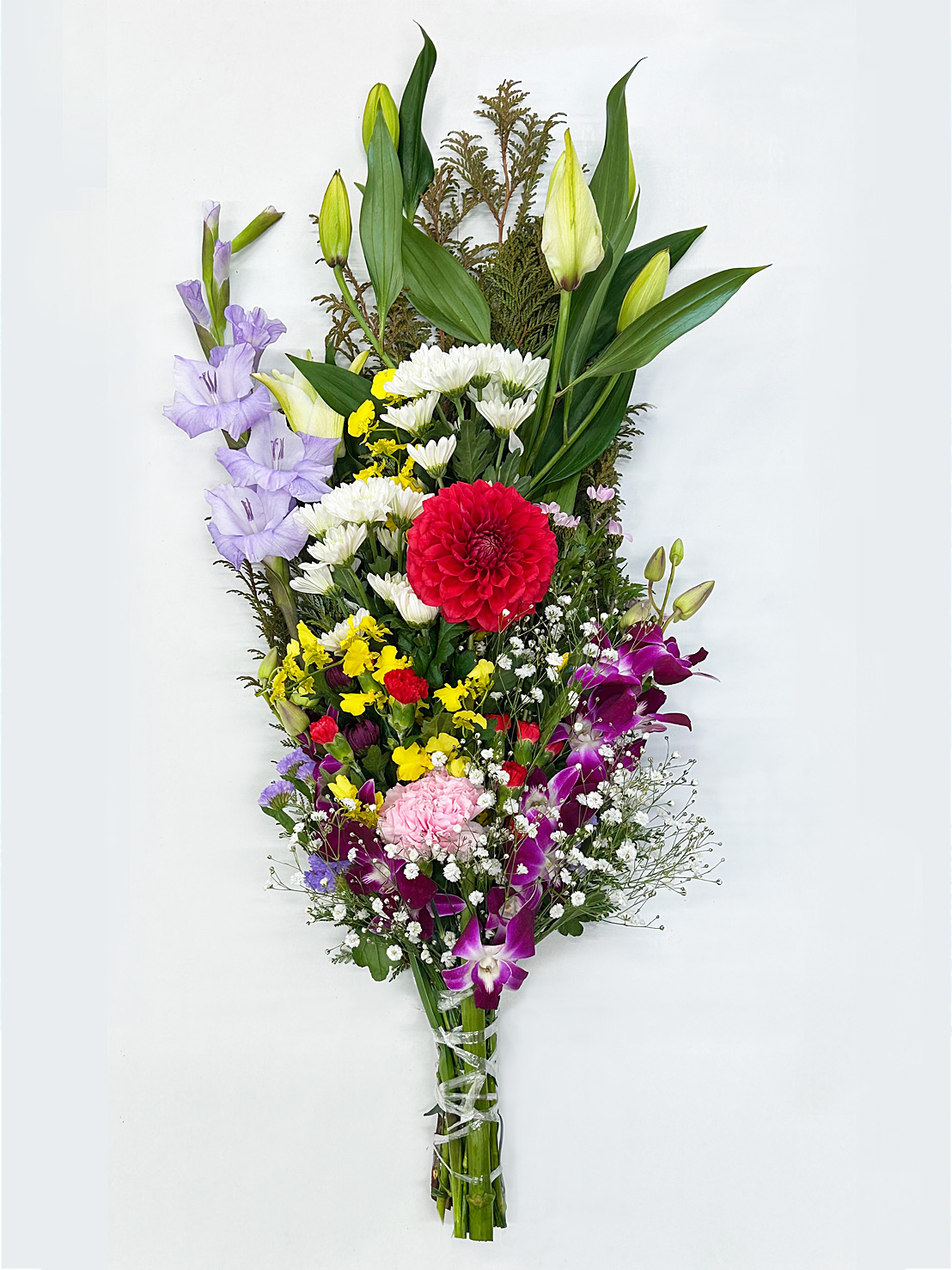 商品一覧の写真