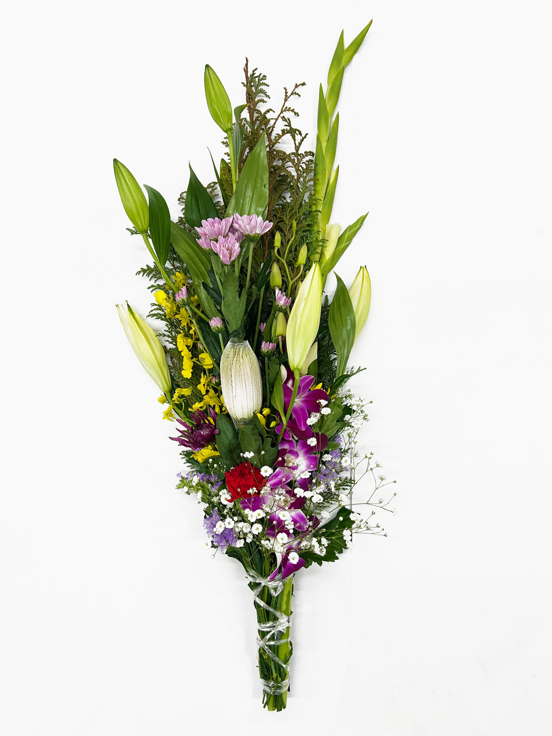 商品一覧の写真